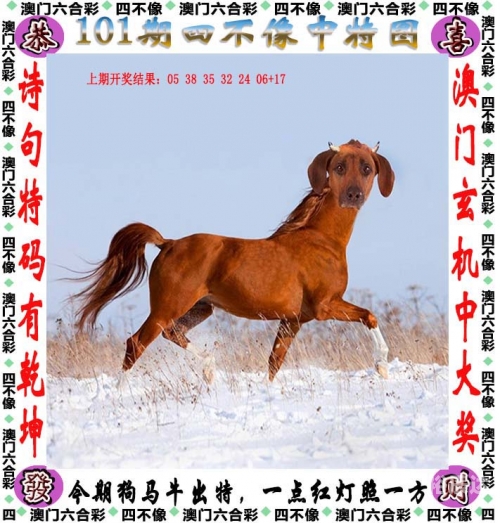 2005新澳正版免费大全新澳门资料大全免费新鼬介绍-第2张图片