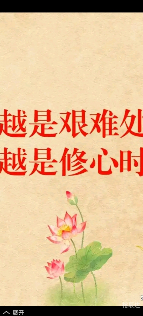 三期必開一期三期必開一期，开启美好未来