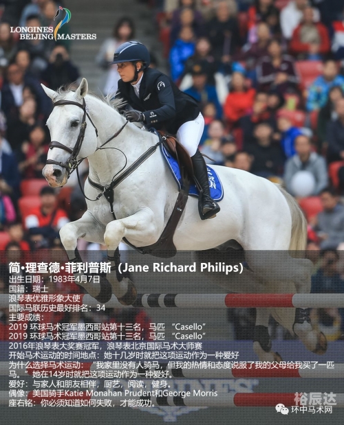 2019年马会正版2019马会正版，正版马匹展的回顾与展望