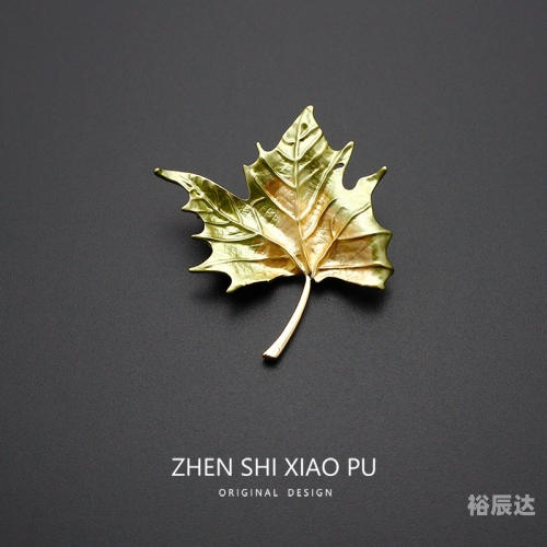 一叶知秋吉他谱于哲浩一叶知秋吉他谱-第2张图片