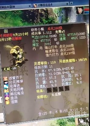 天劫令之天帝劫天劫令，修炼之路的试炼