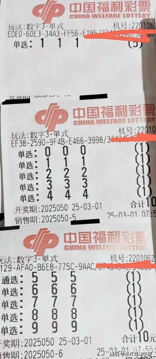 南国彩票精彩论坛，探秘彩票世界