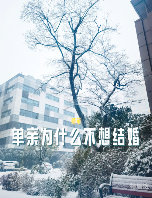 辛福魔方结婚的理由完整版辛福魔方，生活中的幸福之盒