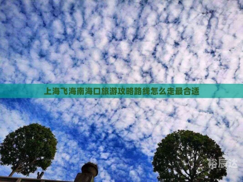 上海到海南旅游上海到海南旅游攻略-第2张图片