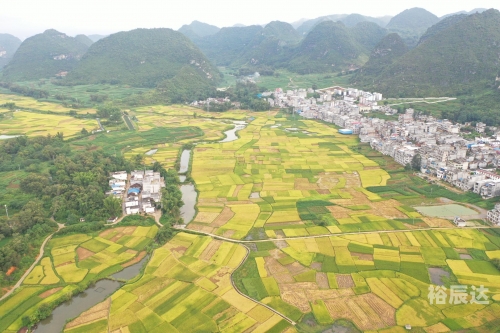 广西12530广西12530，便捷服务，贴心守护
