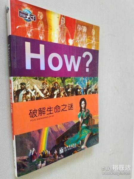 天下收藏网，收藏新世界的瑰宝-第2张图片