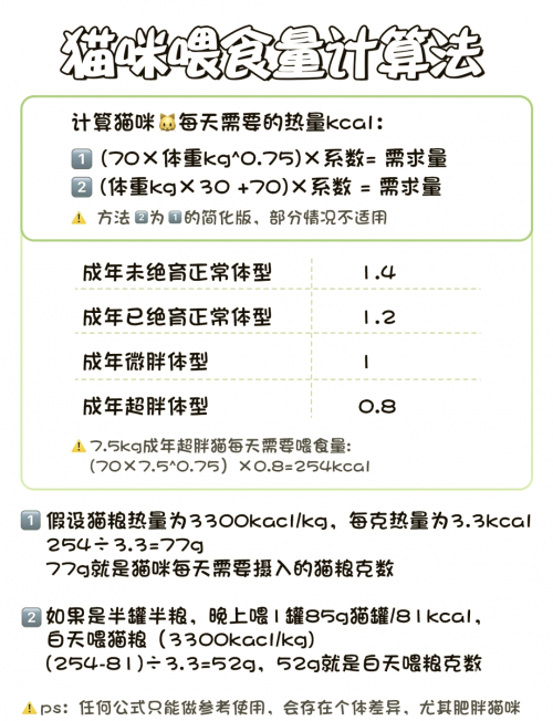 白猫图纸白猫图纸，探索设计与技术的奥秘