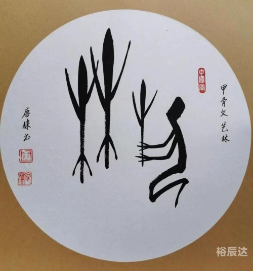 仓颉吉他谱，探索音乐的神秘世界-第2张图片