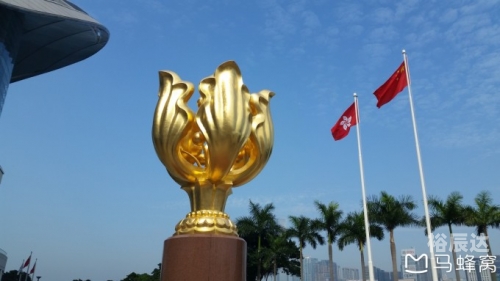 香港马现场开奖结果2021