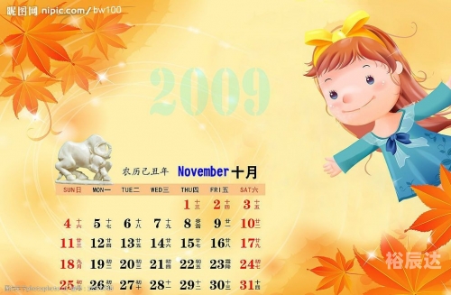 2009日历2009日历，回顾与展望