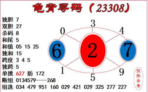 308二四六玄机资料大全-第3张图片