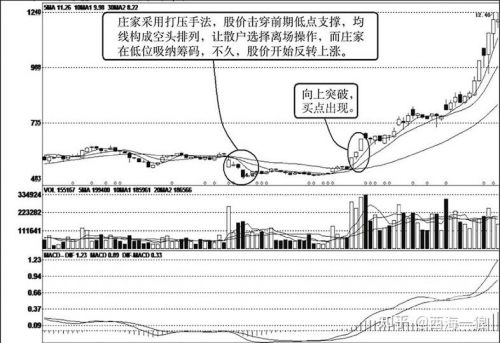 601118股票分析