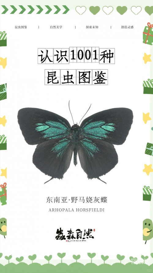 探索6合开奖的神秘世界-第3张图片