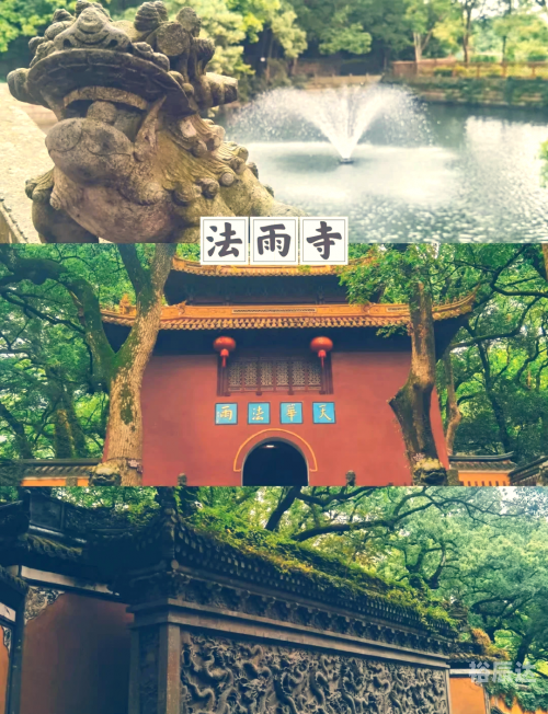 老年旅游团怎么报名的老年旅游团报名攻略