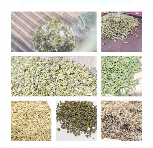 开化龙顶属于什么茶开化龙顶，品味独特的茶文化