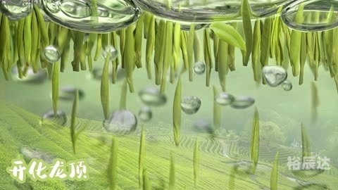 开化龙顶属于什么茶开化龙顶，品味独特的茶文化-第3张图片
