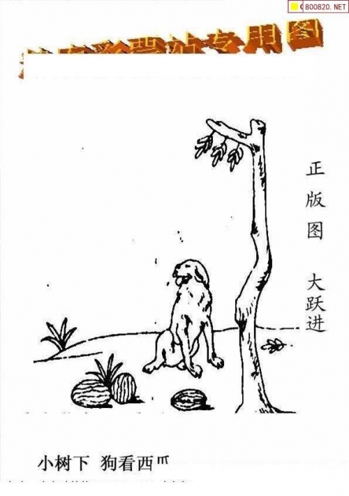 3D走势图新浪3D走势图新浪，引领市场趋势的新视角-第2张图片