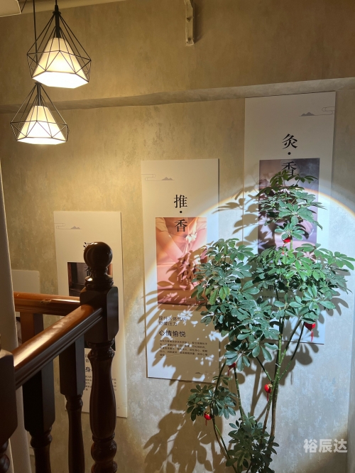 易灸灸易灸灸，轻松体验健康生活的新选择