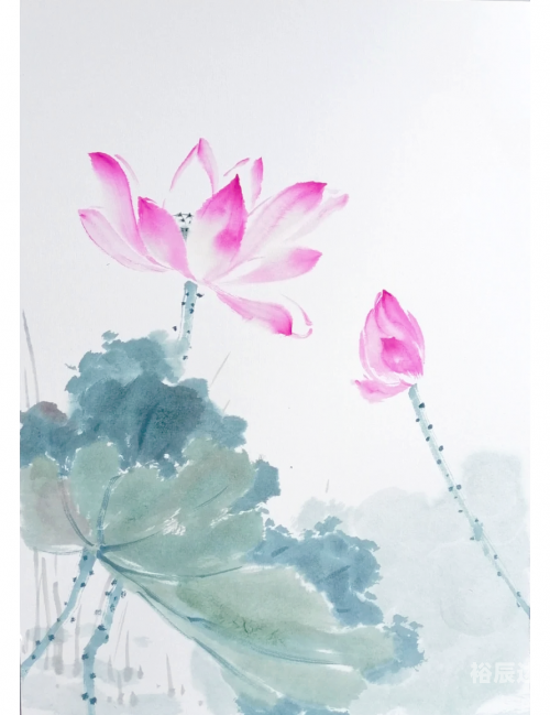 出水芙蓉什么意思出水芙蓉，美的象征与寓意