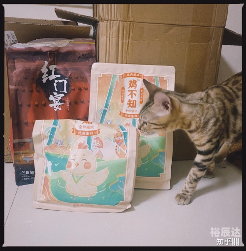 纯禽大叔太凶猛无删除版纯禽大叔太凶猛