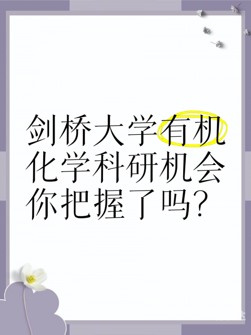 盈彩网，把握机遇，畅享财富