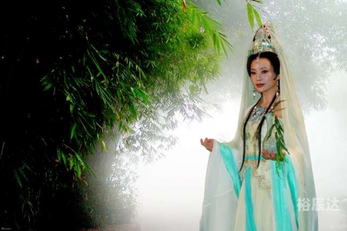九九八十一照算最准的一肖最准的一肖，揭秘预测未来