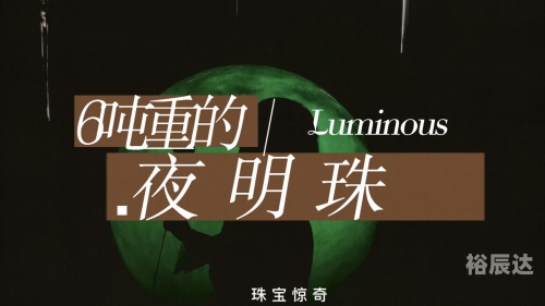 夜明珠预测-第2张图片