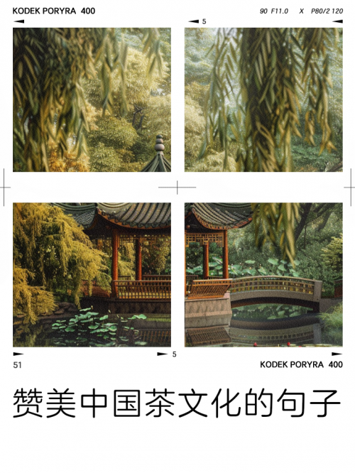 中茶茗品，品味品质，传承文化-第2张图片
