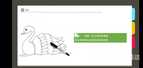白天鹅高手论坛白天鹅高手论坛，探索天鹅界的精英之路-第2张图片