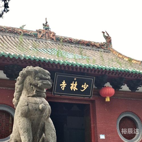 中国鹰猎，探寻自然与精神的双重之旅