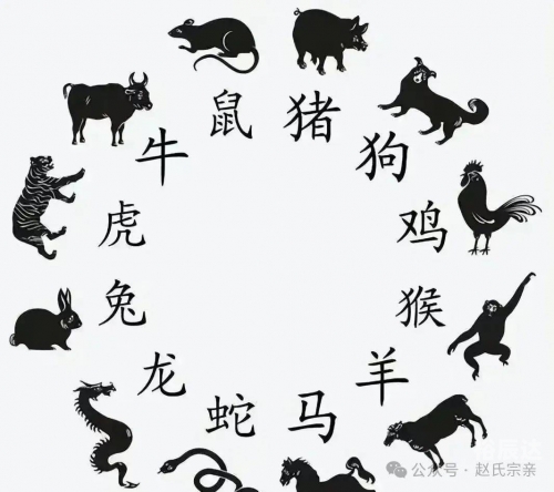 关于2024生肖排码表图