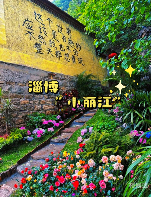 红叶高手联盟论坛红叶高手联盟，探索卓越之路
