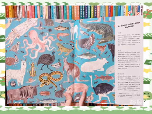 东鳞西爪近义词东鳞西爪，品味生活中的独特瞬间-第2张图片