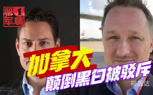 颠倒黑白2中文版