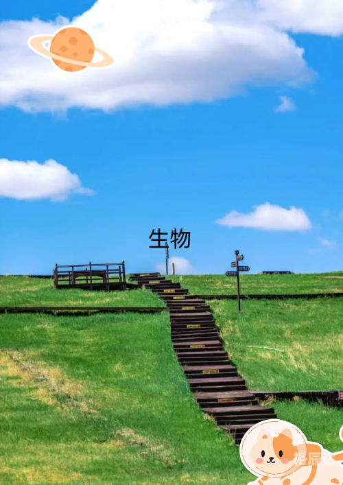 今日特马，探索与发现-第2张图片