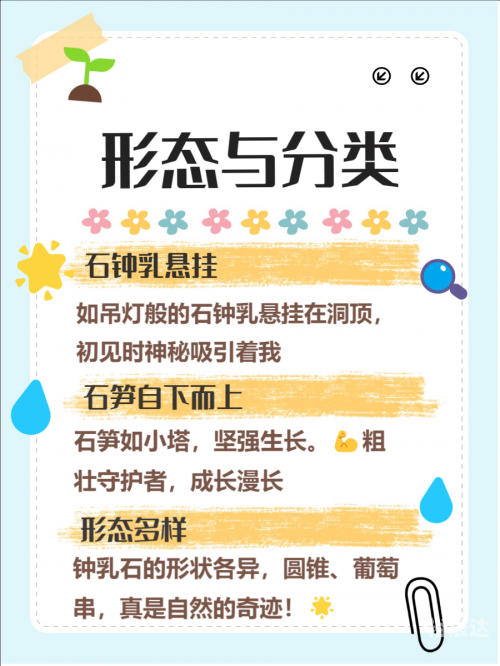 双色球开奖查询，揭开神秘面纱