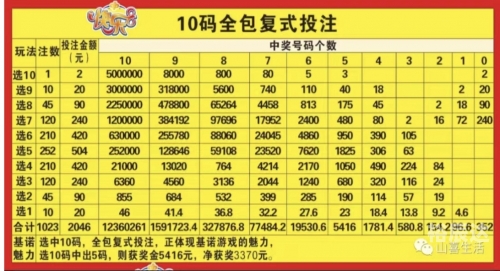 一码一肖100准一码一肖100准，预测与成功的秘诀