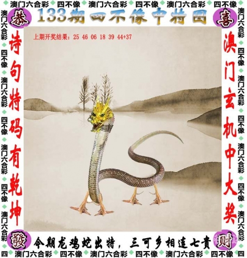 澳门一码一肖一特中，2024年彩票展望-第2张图片
