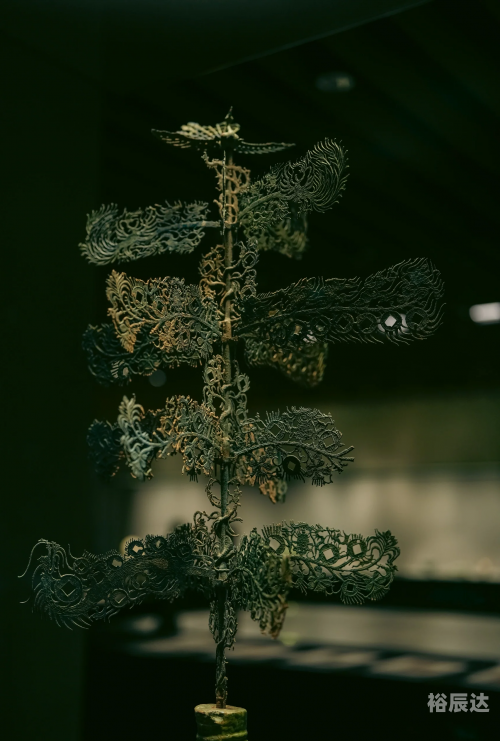 摇钱树心水忪坛334435，探索神秘之地