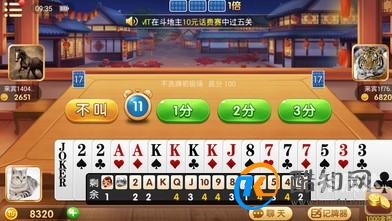 香港最准一肖中特公开选料，揭秘神秘公开料库