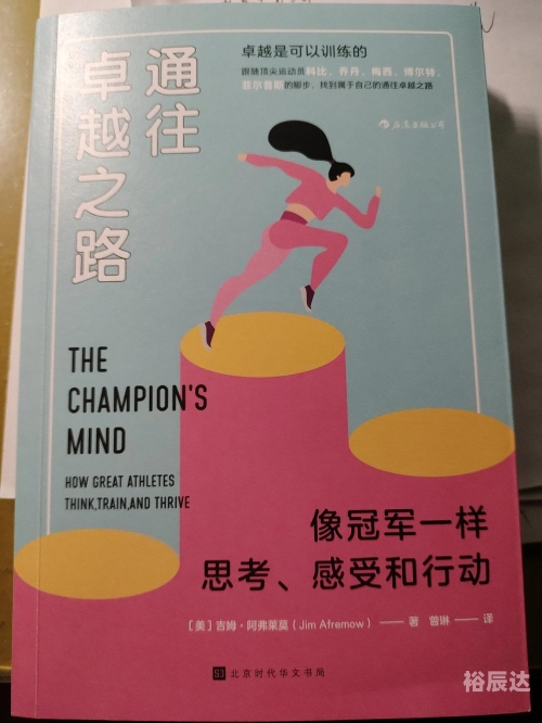 天梯第一步天梯第一，探索卓越之路