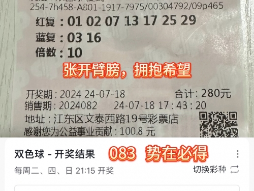 最准一码一肖100%精准最准一码一肖，100%精准预测的神秘力量-第1张图片