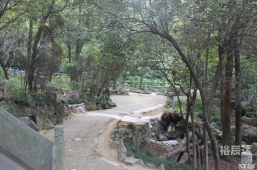 黄大仙论坛黄大仙论坛，探索网络交流的新天地-第2张图片