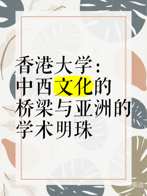 香港中特网香港中特网，连接世界的桥梁