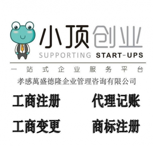 呱呱网络科技有限公司呱呱网，探索网络世界的奇妙之旅-第2张图片