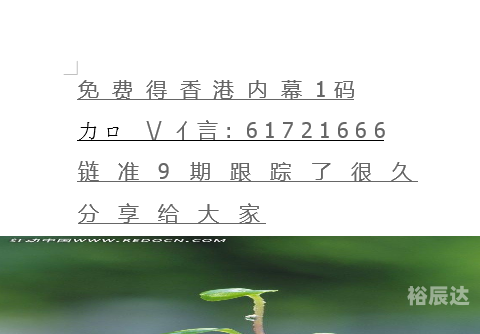 刘伯温精准四肖选一肖-第2张图片