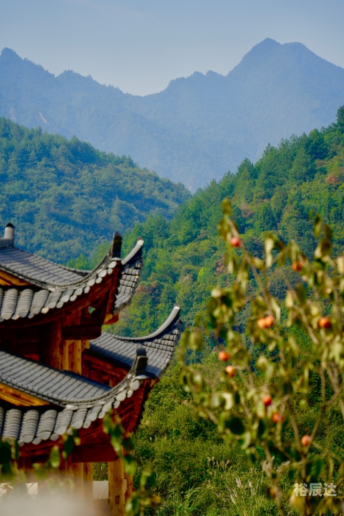 黄桑坪自然保护区黄桑坪之美