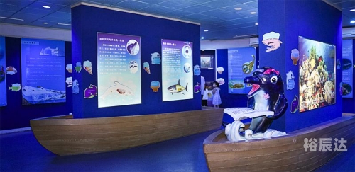冲浪企鹅下载冲浪企鹅下载，探索海洋生物的奇妙世界