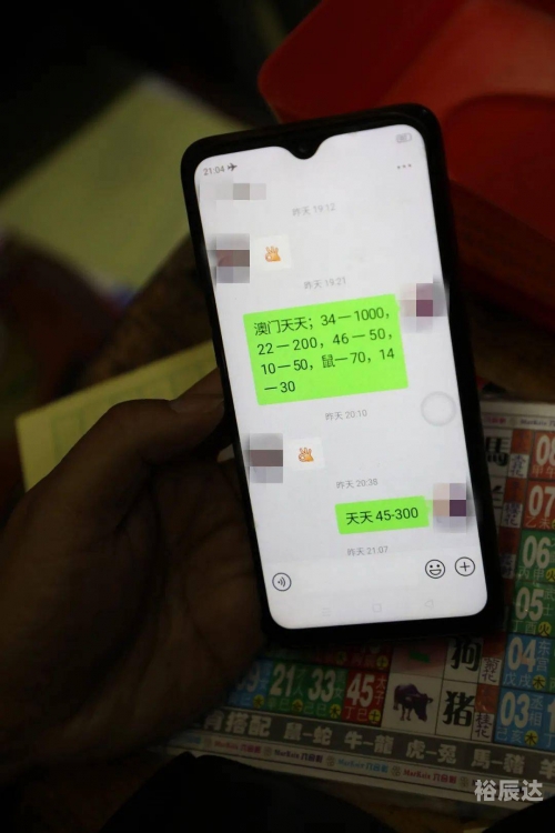 神童网二中一免费资料六合神童，天赋异禀的智慧少年-第2张图片