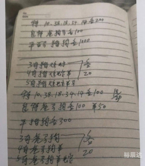 神童网二中一免费资料六合神童，天赋异禀的智慧少年-第3张图片